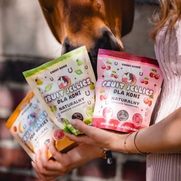 Pamlsky Candy Horse Jellies by Jelly Horse 300g