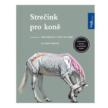 Publ Švehlová Strečink pro koně