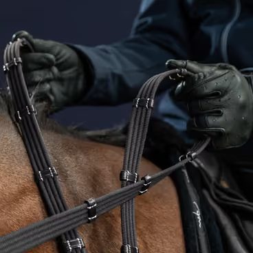 Lícnice Dy'on Double Bridle Adaptable DY03E