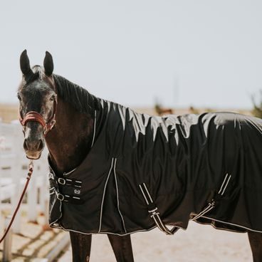 Deka výběhová Horseware Amigo Ripstop 900D 50g Kolekce 2025/26