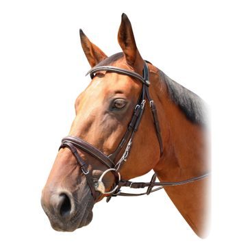 Uzdečka Kentaur Marysville a.k.n.