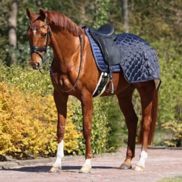 Deka bederní QHP 100g Classy DOPRODEJ