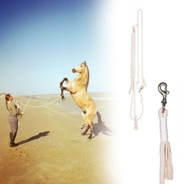 F.R.A. Flinn working line 820 cm