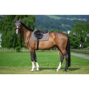 Podsedlová dečka Tommy Hilfiger Equestrian Stanford Kolekce 2026