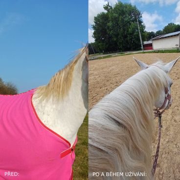 Dromy Biotin Forte 750g