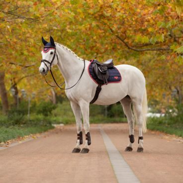 Podsedlová dečka LeMieux Essence Kolekce 2025/26