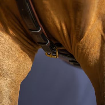 Nákrční řemínek Equiservis