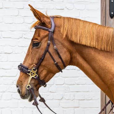 Speciální udidlo Hackamore Sprenger