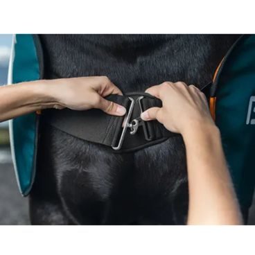 BEMER Horse-Set Perfect Duo