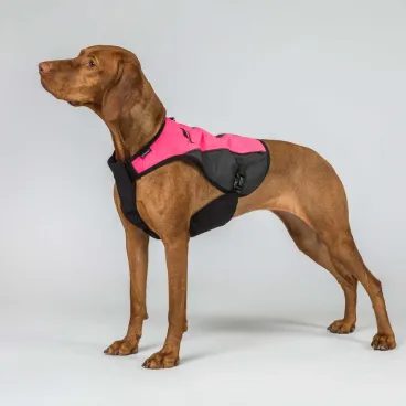Vesta na psa Back On Track TRAKK 2.0 Visibility Dog Chest Guard 3248