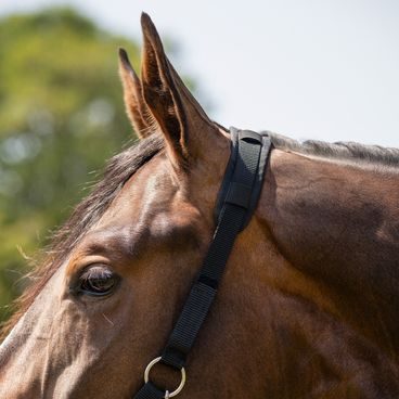 Skládací kolečko 56l černé - SLEVA - špinavé