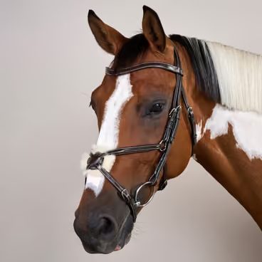 Uzdečka Dy'on Double Noseband DYAAAH