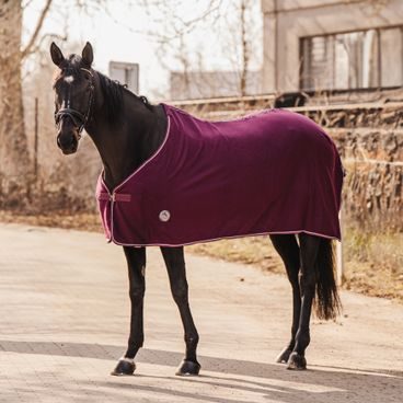 Deka odpocovací Cassini Basic bez popruhů