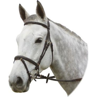 Uzdečka KenTaur s angl komb nános 10171 DOPRODEJ