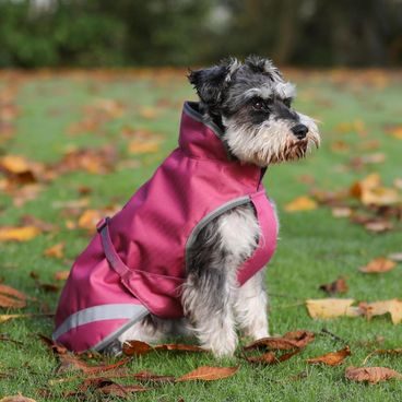 Deka na psa Back on Track Bay pláštěnka Hightail 3236