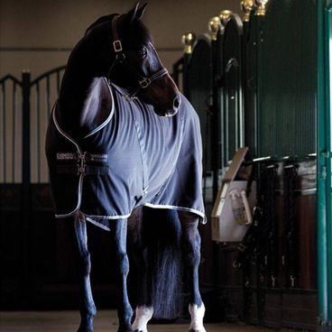 Deka lehká Horseware Rambo stájová DOPRODEJ