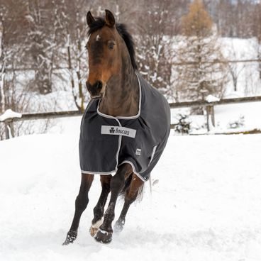 Deka lehká výběhová Bucas&EQS FreedomTurnout Light LIMITED EDITION