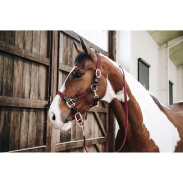 Podsedlová dečka Kentucky Classic