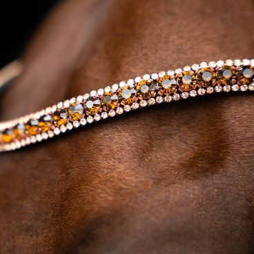 Čelenka Imperial Riding Maxima