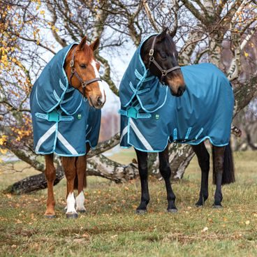 Deka výběhová Horseware AmEco 1200D Plus 250g