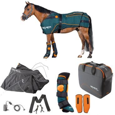 TEST BEMER Horse-Set