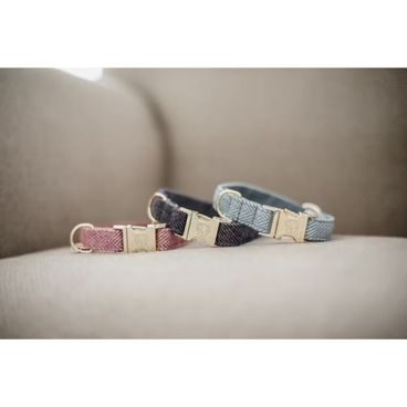 Obojek Kentucky Wool