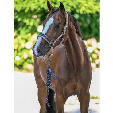 Ohlávka s vodítkem Horze Lucca