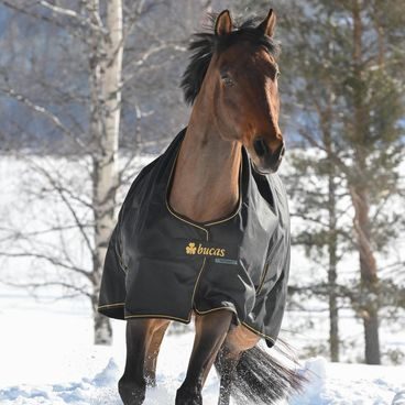 Bunda Equiline Entrec Sofsthell Airbag Compatibile dámská Kolekce 2025/26