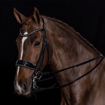 Uzdečka Schockemöhle Charleston a.k.n.