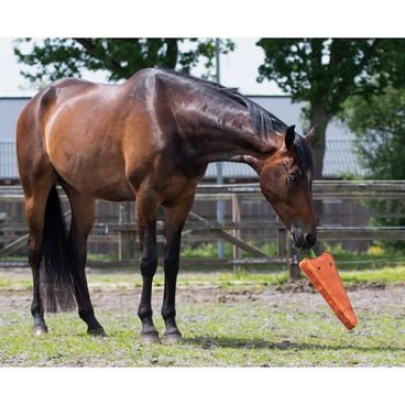 Míč na hraní QHP horse football 80-100 cm