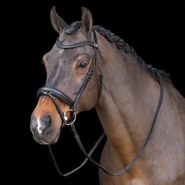 Uzdečka Imperial Riding Snaffle Rhinestone