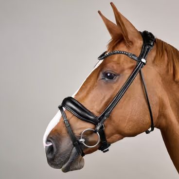 Uzdečka Dy'on Double Noseband DYAAAH