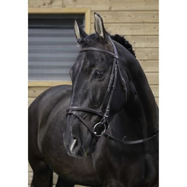 Uzdečka Riding World a.k.n.