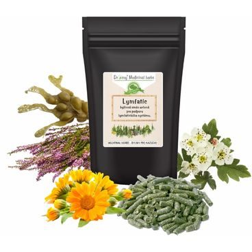 Dromy Lymfatic 1,5 kg