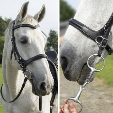 Bezudidlová uzdečka F.R.A. Runa DOPRODEJ