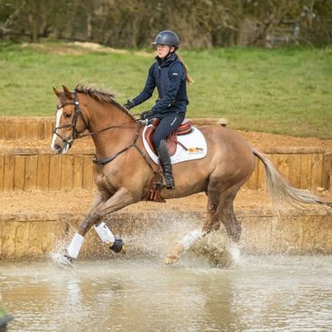 Kamaše Eskadron Platinum Pro Dressage zadní Kolekce 2024/25