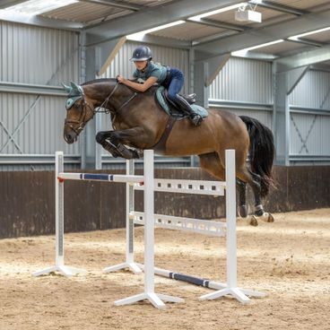Podsedlová dečka Equestro Modello Kolekce 2025/26