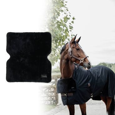 Ochrana k dece Kentucky Chest Protection