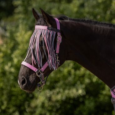 Deka síťovaná QHP Collection s krkem + maska na hlavu