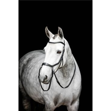 Uzdečka Horseware Micklem Bitless