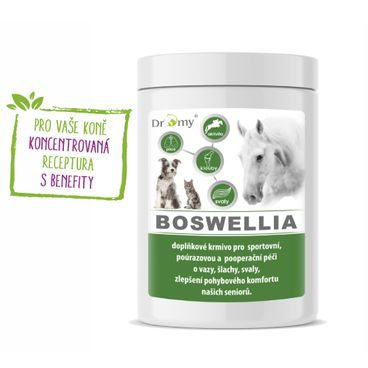 Dromy BOSWELLIA FORTE 750 g