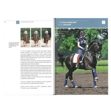 Publ Švehlová Strečink pro koně