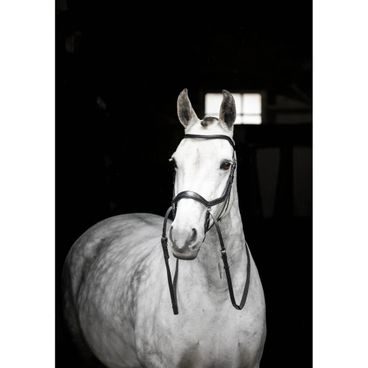 Uzdečka Horseware Micklem Bitless