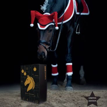 Jeggings Horze Greta Termo Full Grip dětské Kolekce 2025/26