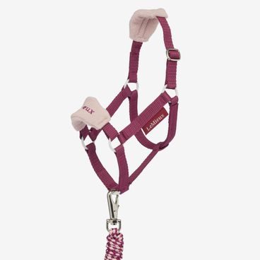Ohlávka s vodítkem LeMieux Hobby Horse Vogue Kolekce 2026/27