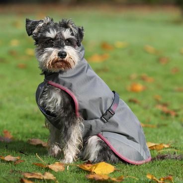 Deka na psa Back on Track Bay pláštěnka Hightail 3236