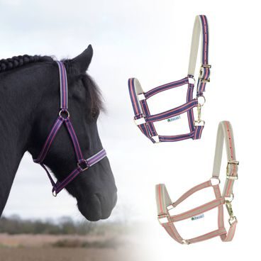 Ohlávka Bucas Dublin podložená Kolekce 2025