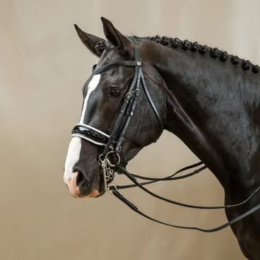 Uzdečka + otěže QHP Isalyn Kolekce 2026/27