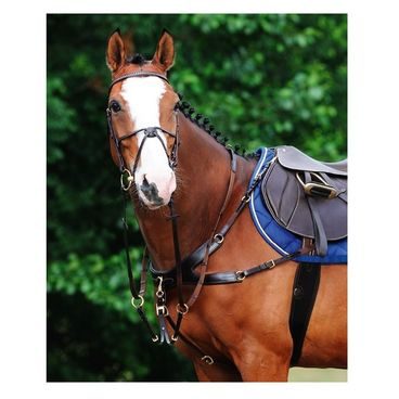 Poprsník Passier Auriga Cob/Full černý NA OBJEDNÁVKU