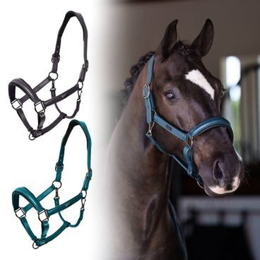 Ohlávka Equestrian Stockholm Anatomic Glimmer Leather Kolekce 2025/26